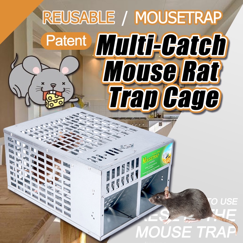 Perangkap Tikus Besi Double Door Mouse Trap Reuseable Multi Catch Mouse ...