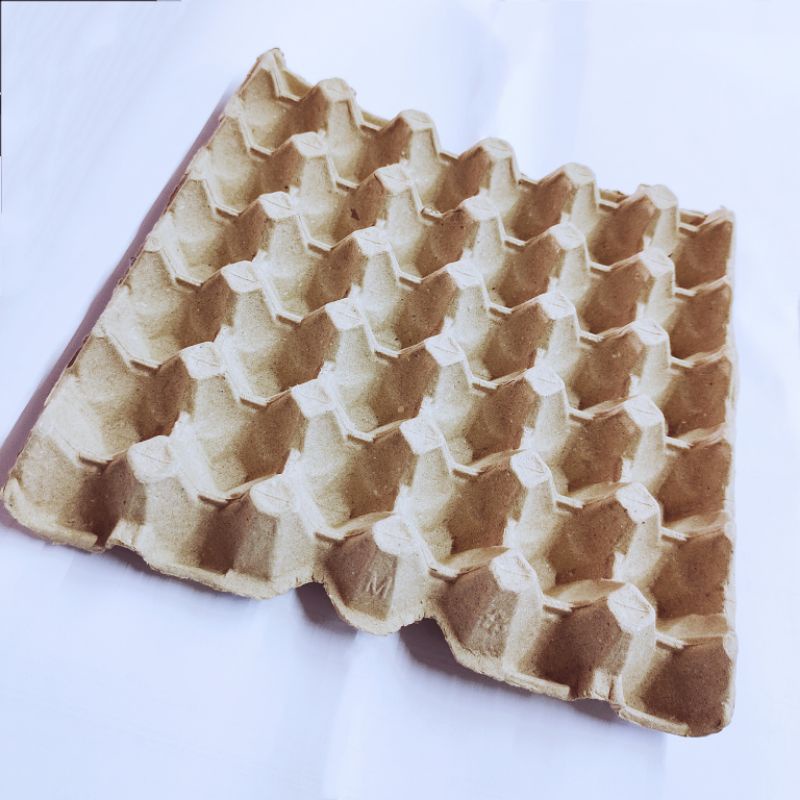 Kotak sarang telur terpakai Paper Eggs Tray for 30 Egg (10pcs) Shopee