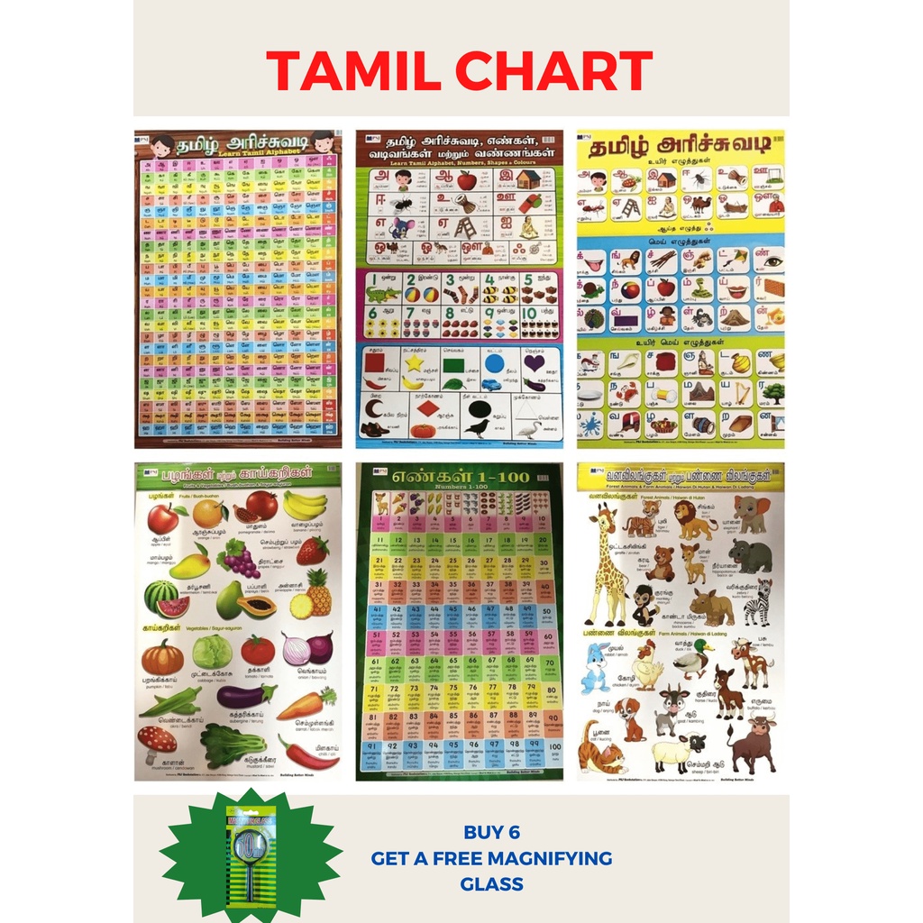 LEARN TAMIL CHARTS (IN 6 TYPES)/CARTA TAMIL Shopee Malaysia