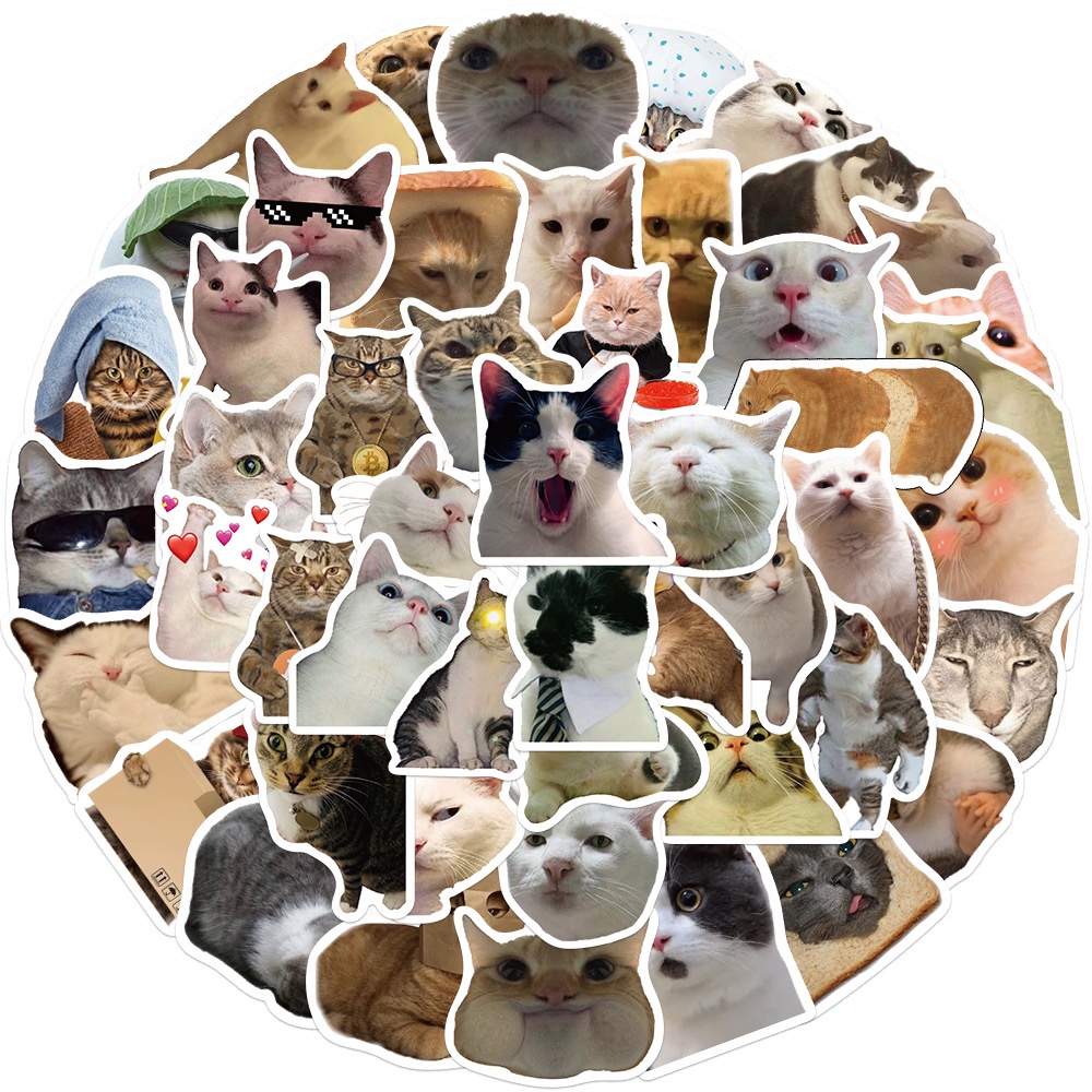 50PCS Funny Cat Meme Stickers For Laptop Skateboards Phone Case Decal