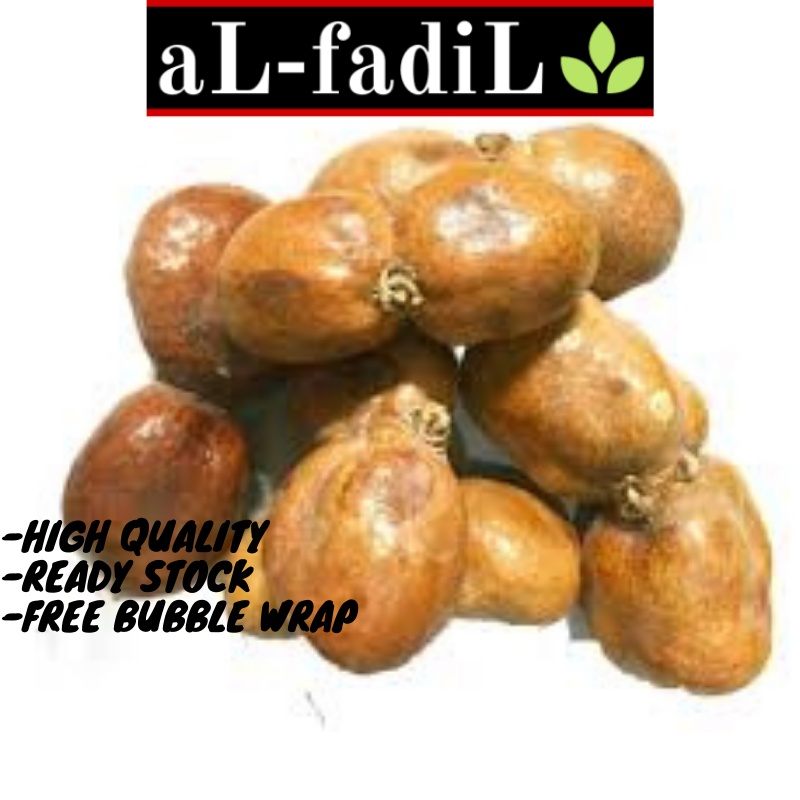 Buah Zuriat | Ikhtiar Hamil | Tingkatkan Kesuburan READY STOCK