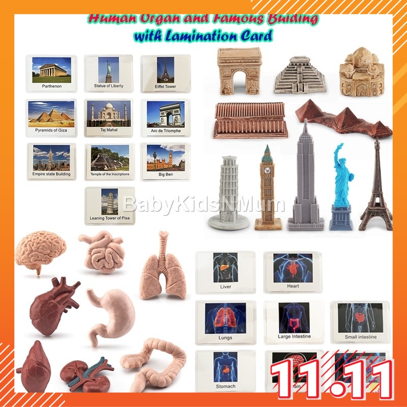 Famous Building Figurine Around The World And Flash Cards Human Body Organ Figurine And Flash Card Educational Materials