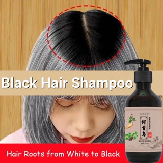Vasmol 33 Black Hair Dye - Prices and Promotions - Mar 2023 | Shopee  Malaysia