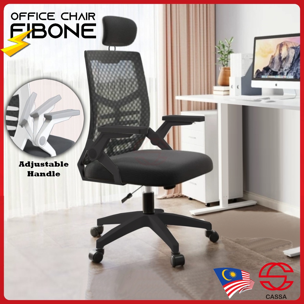 Cassa Fib/Fibone Ergonomic Design Mesh Office Chair with Adjustable