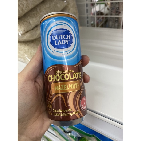 DUTCH LADY CHOCOLATE HAZELNUT/CHOCOLATE CAN 240ml Shopee Malaysia