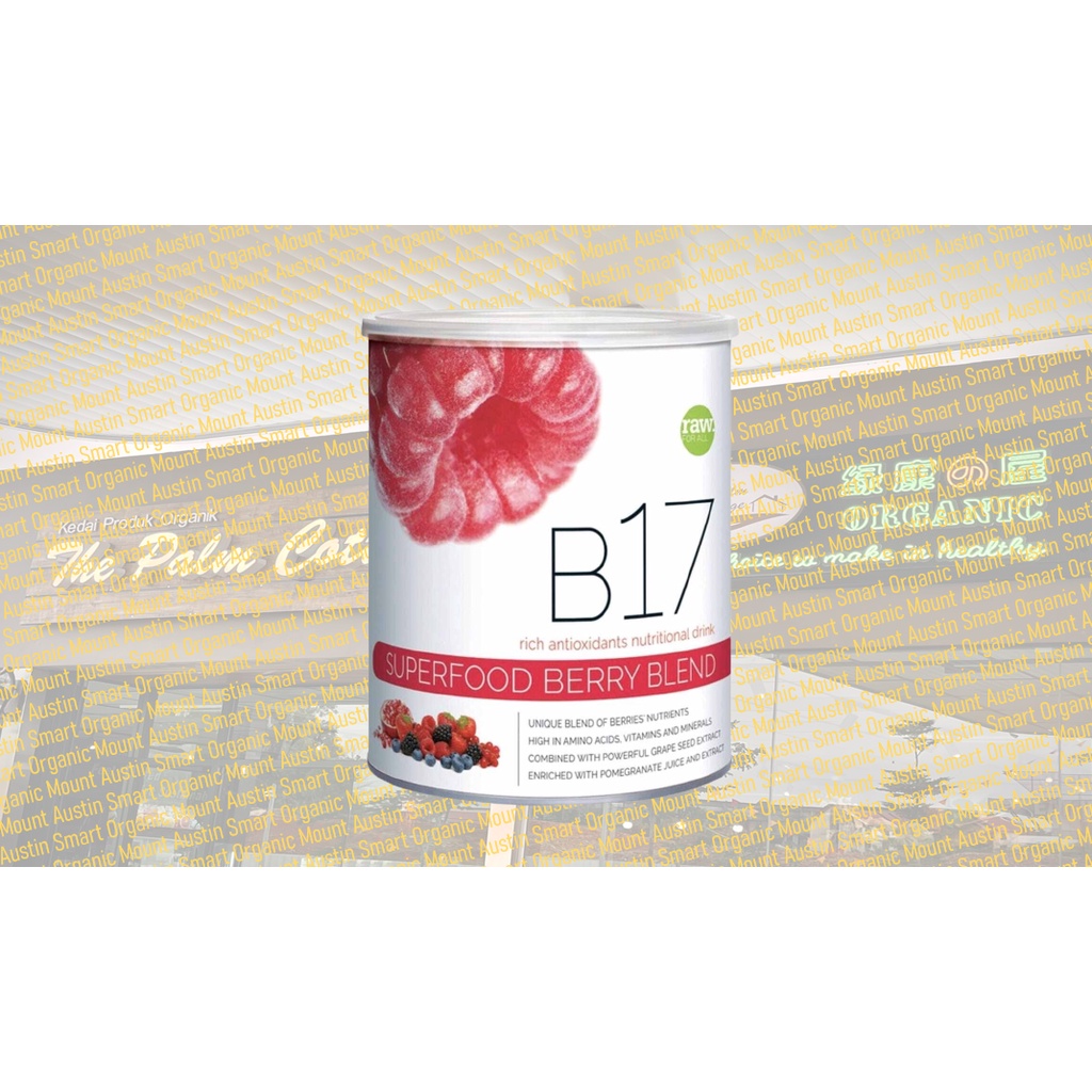 b17-superfood-berry-blend-rich-antioxidants-nutritional-drink-600g