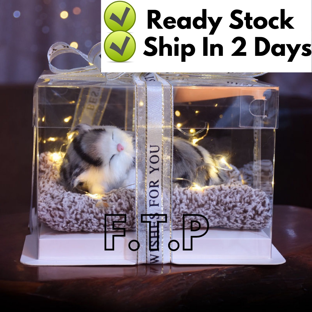 Valentine Gift Cute Cat Pet Children Gift Birthday Girl Girlfriend Hadiah Kekasih Murah Kucing Gift Box情人节礼物生日女生闺蜜男女朋友礼物