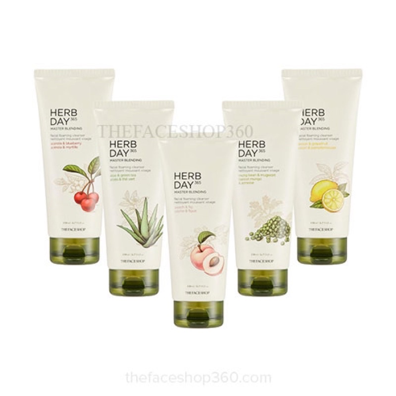 Herb Day 365 Master Blending Foaming Cleanser The Face Shop (170ml