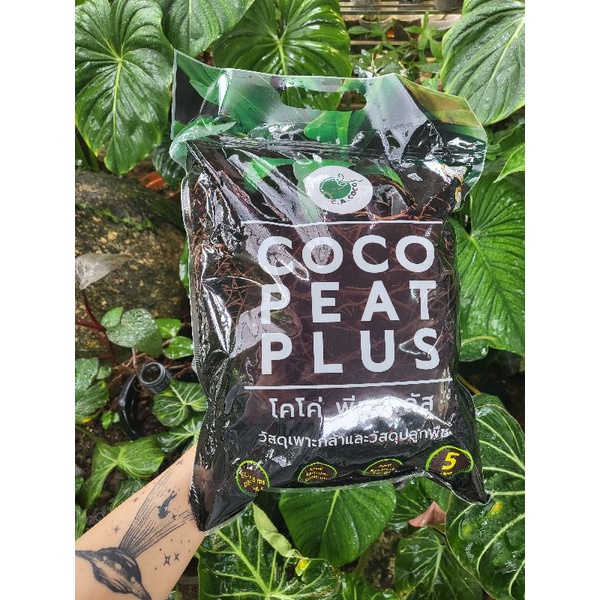 Coco peat plus growing medium 5L Shopee Malaysia