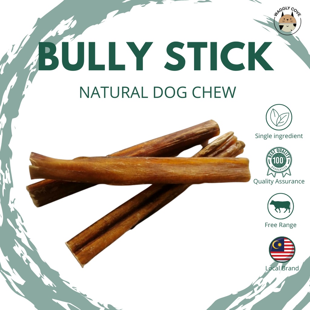 What Is A Bully Stick? What Are They Made Of? Are They Safe? atelier