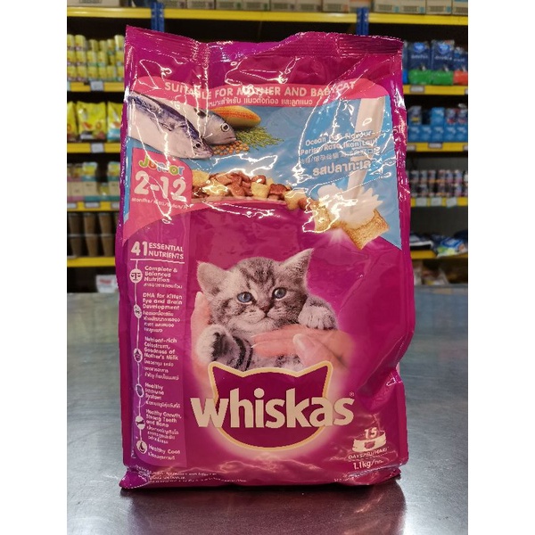 WHISKAS DRY CAT FOODS FOR KITTENS JUNIOR OCEAN FISH FLAVOUR with MILK