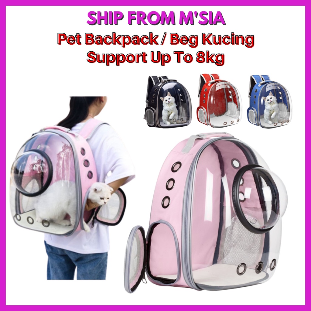 harga travel bag kucing