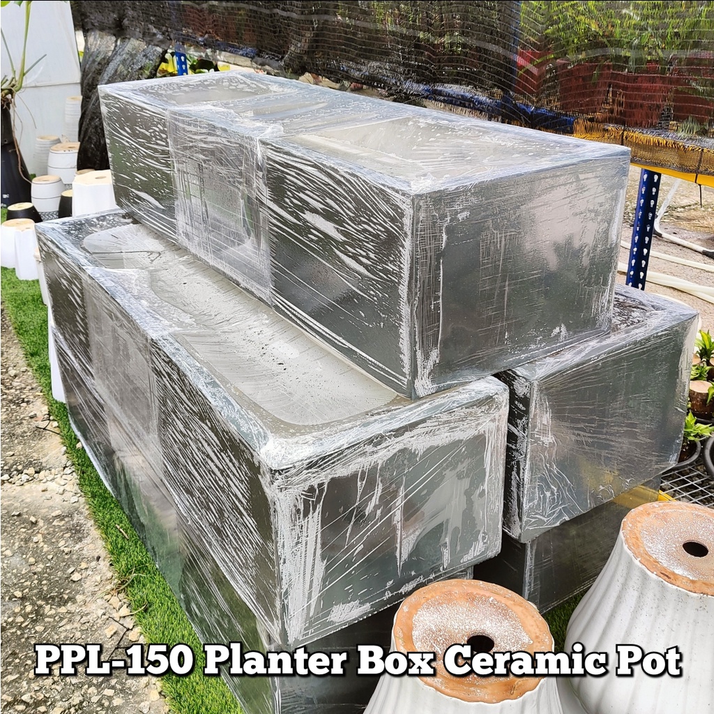 GPS Green Plant Society XTRA Large PPL150 Flower Planter Box Planter