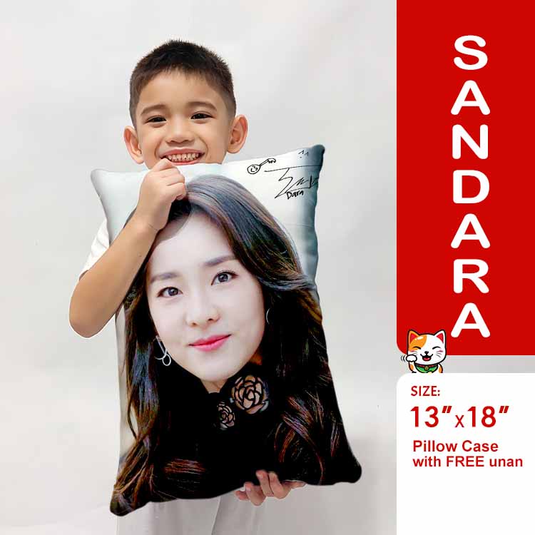 SANDARA PARK Collection Huggable Pillow Birthday Gift Ideas (3 Sizes)