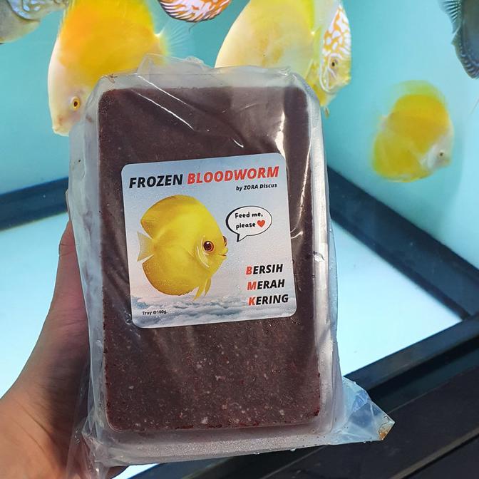 Frozen BLOODWORM ZORA DISCUS 1 BUNDLE FROZEN Worms Contents 10 PAX