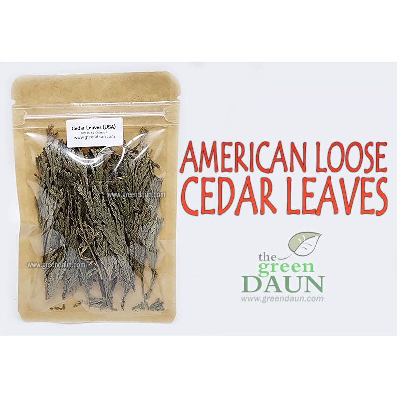 Cedar Leaves Herbs Wild Dried Natural Protection Spellwork Wicca Spiritual Invocations Psychic Attract Money Luck