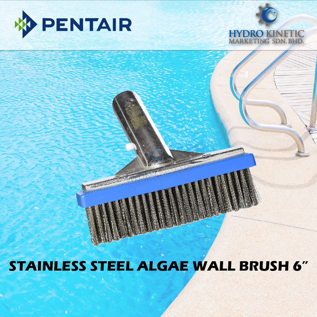 PENTAIR STAINLESS STEEL ALGAE WALL BRUSH 6" / swimming pool cleaner