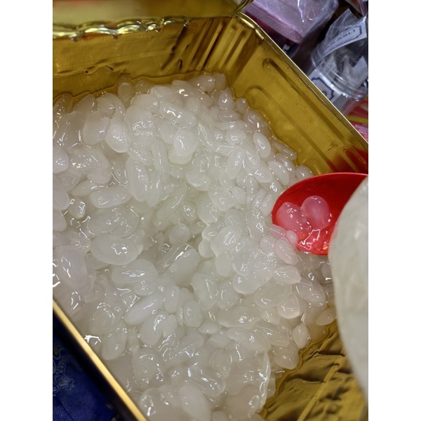BUAH KABUNG KELANTAN 500GRAM HALAL DAN FRESH