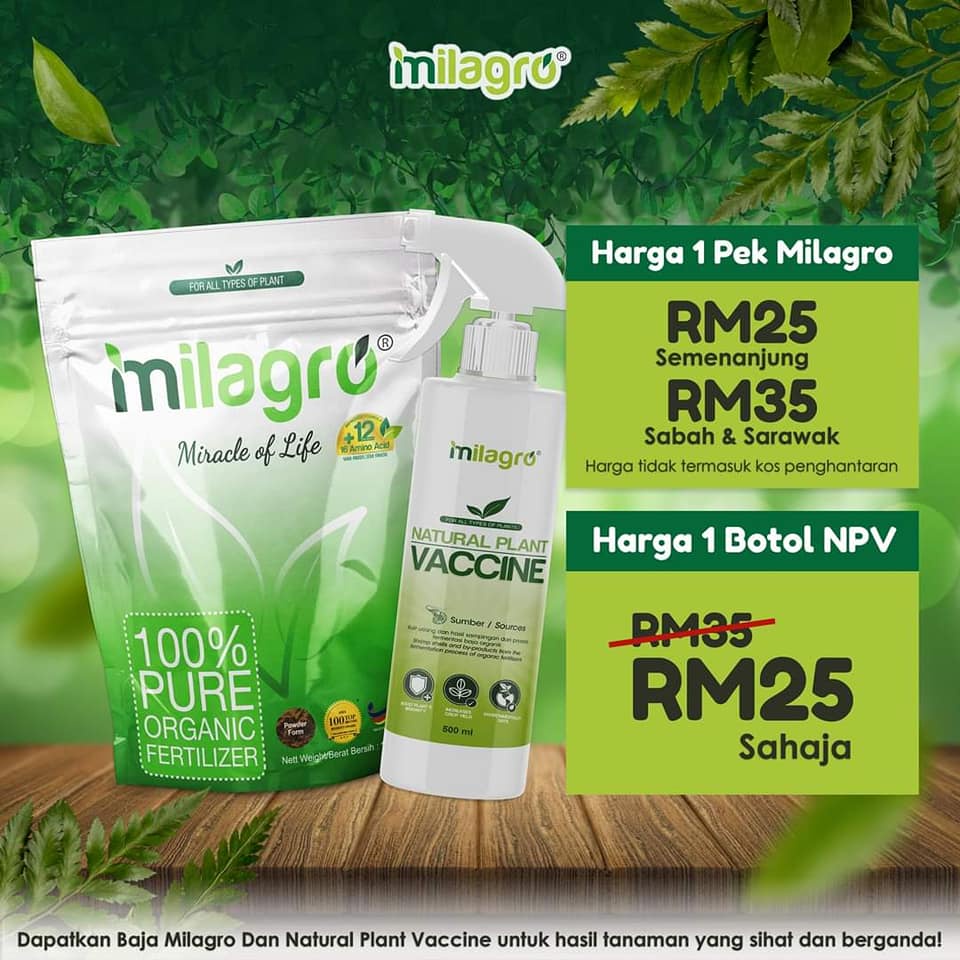 Milagro Baja 100% Organik | Shopee Malaysia