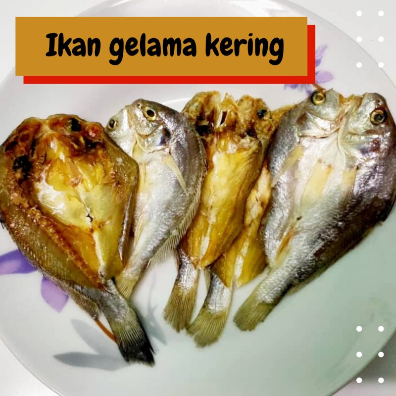 Ikan Gelama Kering | Ikan Bilis Kopek murah buatan Melayu | Ikan talang ...