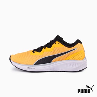 puma malaysia