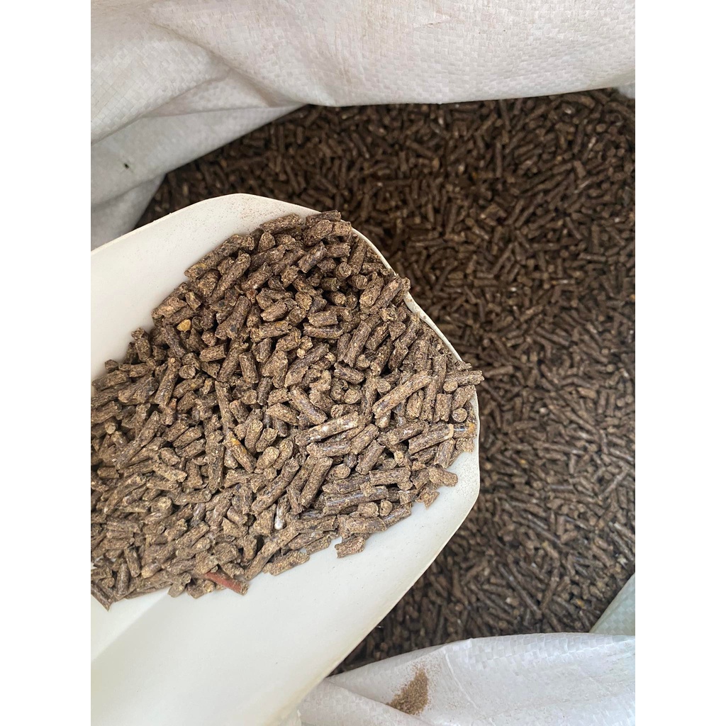 Makanan Arnab Premium Rabbit Food Pellet Dedak Arnab Rabbit Feed Shopee Malaysia