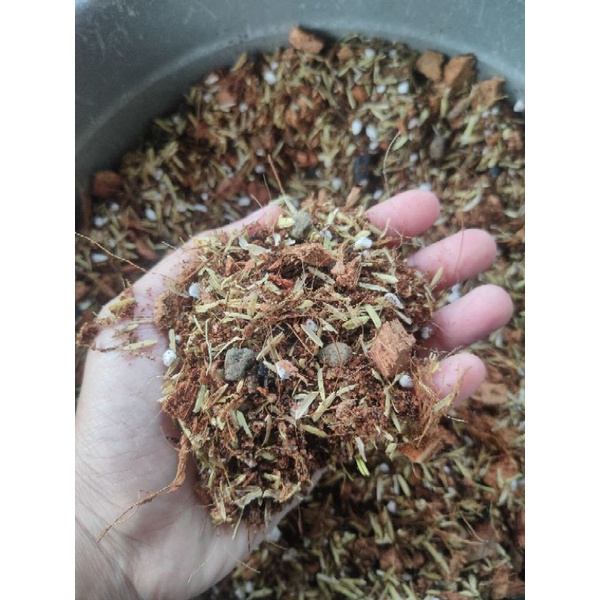 Mixed Soil Tanah Episcia Begonia Gebu Poros 5 liter (1kg) Shopee Malaysia