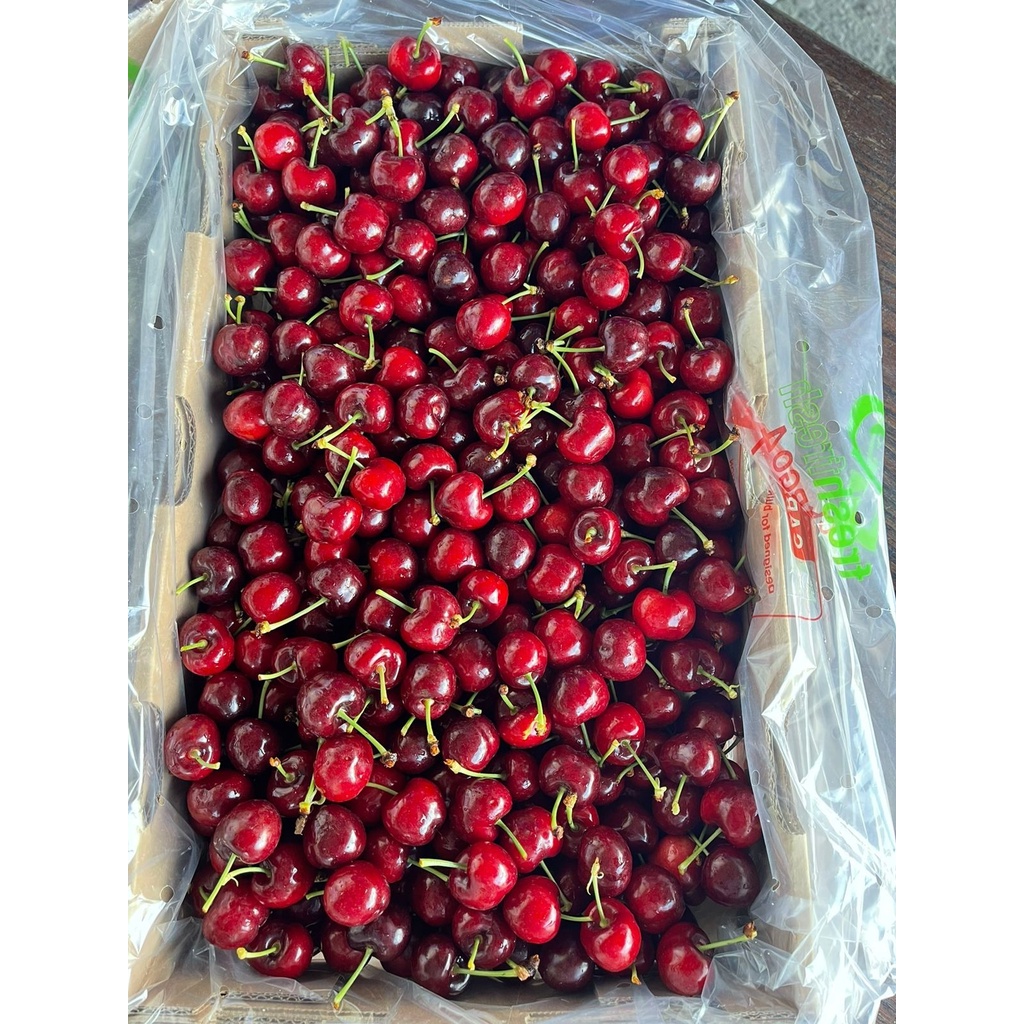 Fresh Cherry - (CURRENT SEASON: USA, SPAIN & TURKEY) Australia / Chile / USA / Turkey / Spain 500gm± / 1kg± / 2kg±