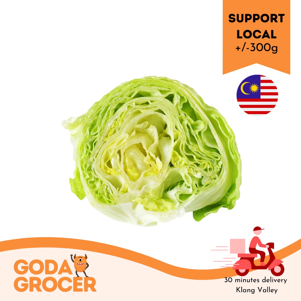 Cameron Iceberg Lettuce (+/300g) Shopee Malaysia