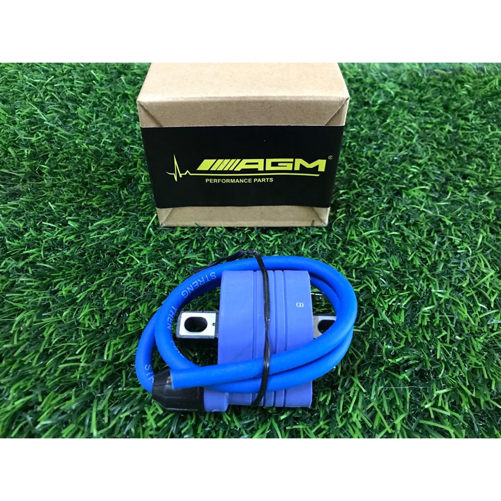 AGM RACING PLUG COIL RACING UNIVERSAL FUEL INJECTION RFRS Racing PLUG