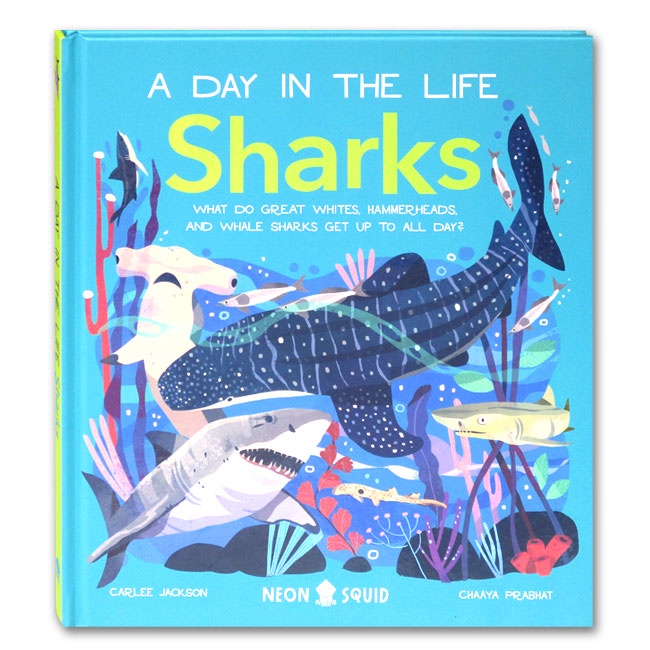 A Day In The Life Shark Book (KD) | Shopee Malaysia