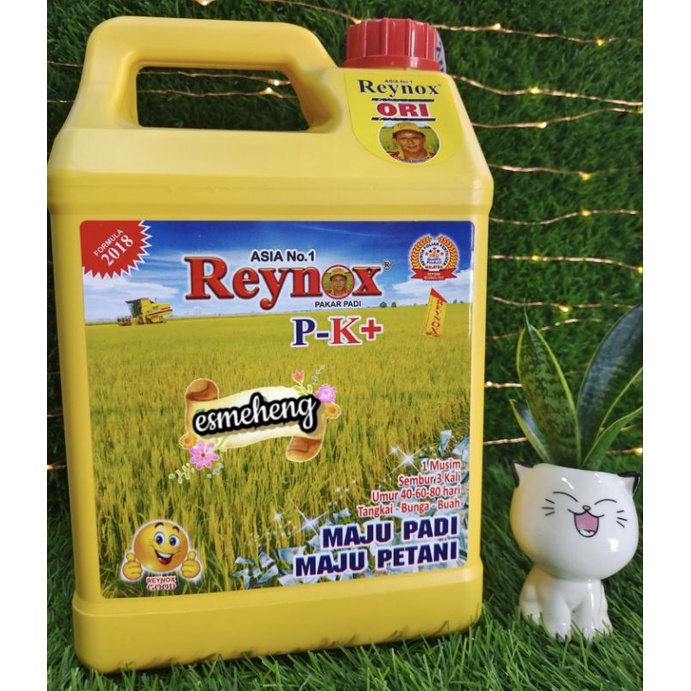 4L Asia No 1 Reynox P-K Baja Semburan Padi Sawit Durian Harum Manis