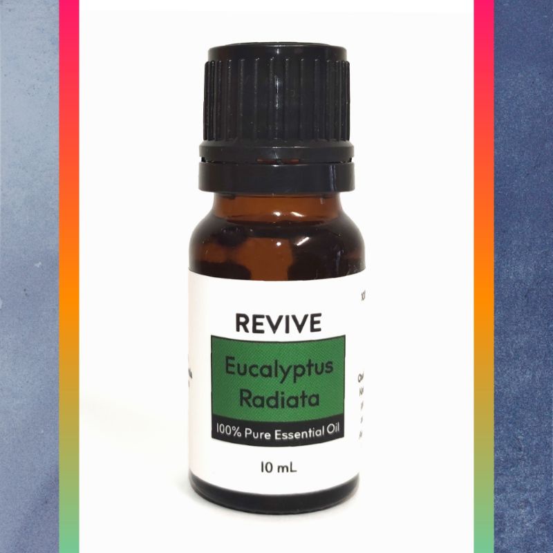 Revive Eucalyptus Radiata Essential Oil 10ml Shopee Malaysia