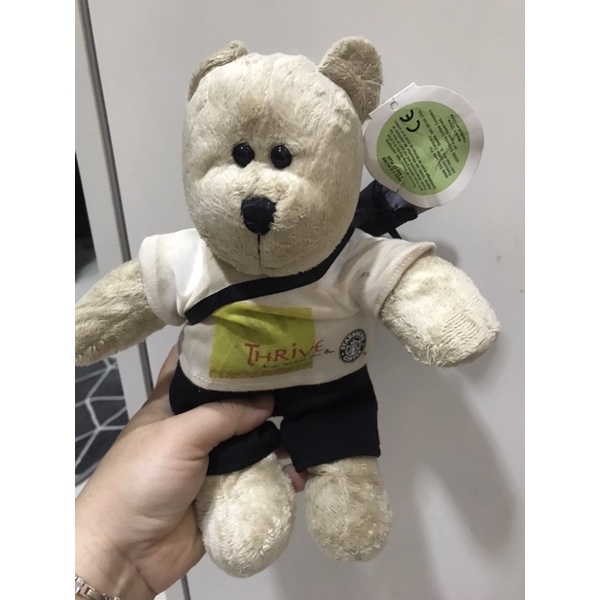 Starbucks Teddy Bear Shopee Malaysia