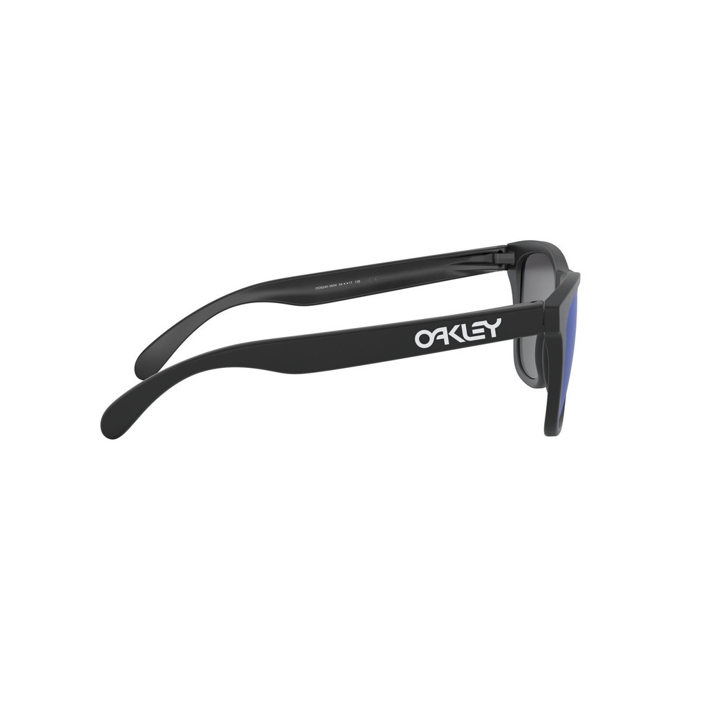 Oakley Frogskins Men Full Fitting Sunglasses (54 mm) OO9245 924506 | Shopee  Malaysia