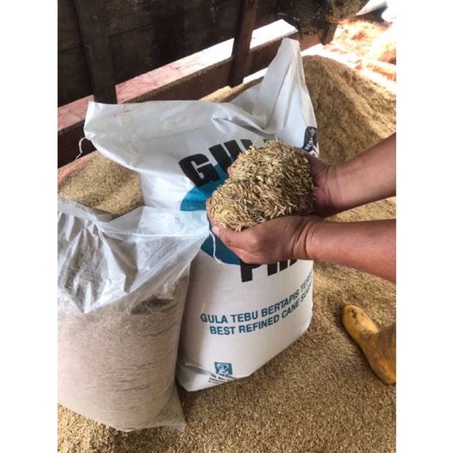 Sekam Padi Mentah, Murah dan Berkualiti Tinggi.@5kg