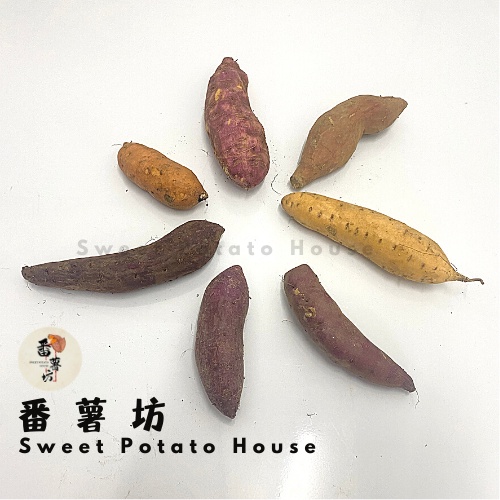 [500g] Japanese Sweet Potato / Honey Sweet Potato / Purple Sweet Potato /Taiwanese Sweet Potato 日本番薯/蜜糖番薯/紫心番薯/台湾番薯
