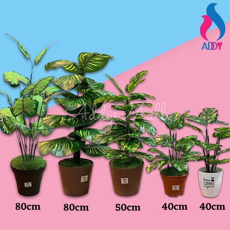 Pokok Hiasan Viral | Artificial Plant | Keladi Monstera Fiddle Fig