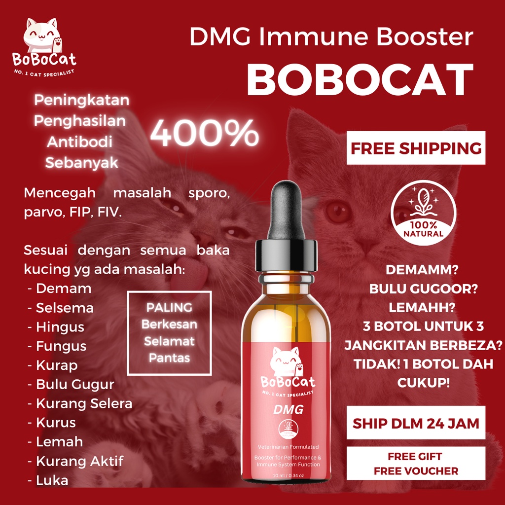 BoBoCat DMG Immune Booster Supplement Cat Vitamin Kucing Ubat Selsema Kucing Ubat Bulu Gugur Gemukkan Kucing 10mL Vetri