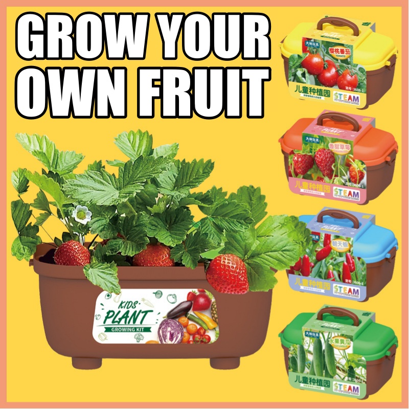 Garden Planting Toy Kids Planting Toy Science Education Toy STEM Toy