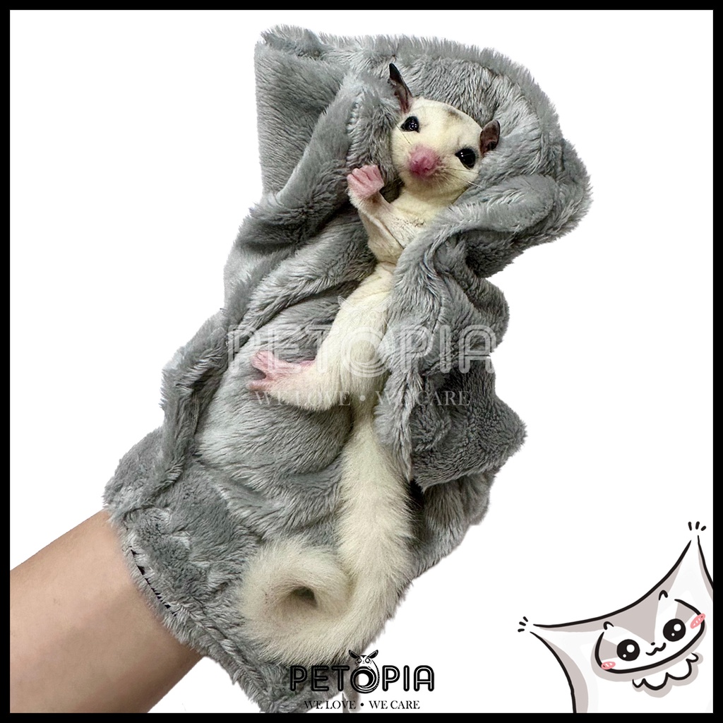 Exotic Nutrition Sugar Glider Calming Glove PETOPIA Sugar Glider