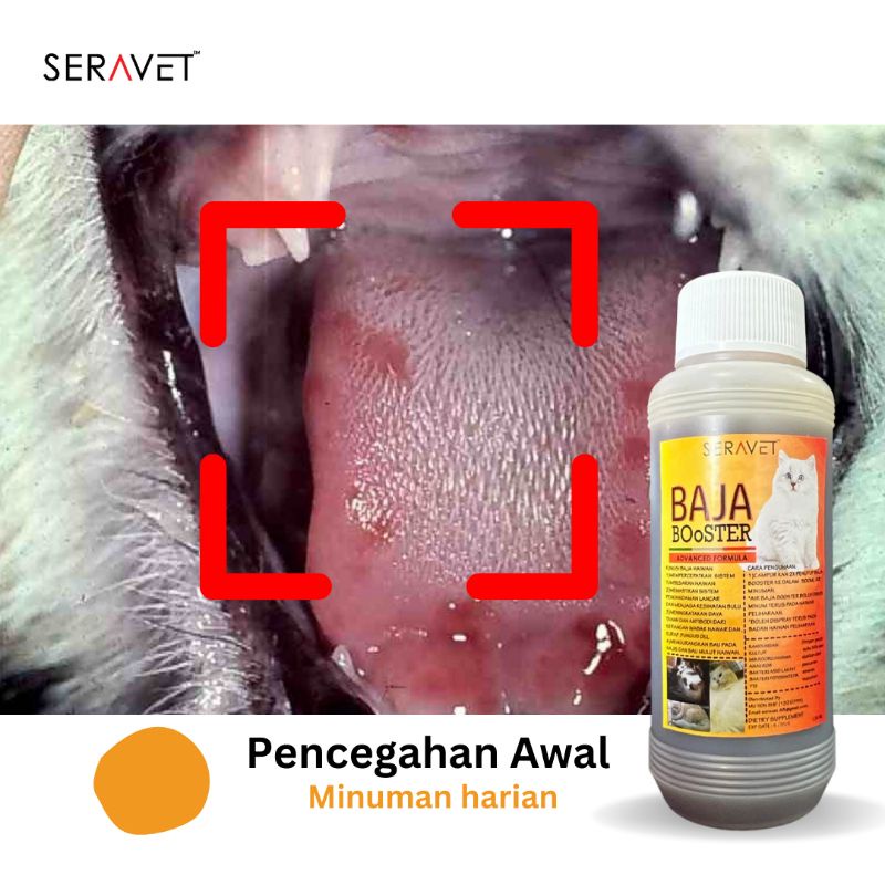 BOOSTER KUCING . KUATKAN ANTIBODI . PENCERNAAN . TINGKAT SELERA MAKAN - BAJA PET BOOSTER x 120ml (Campur dalam Minuman)