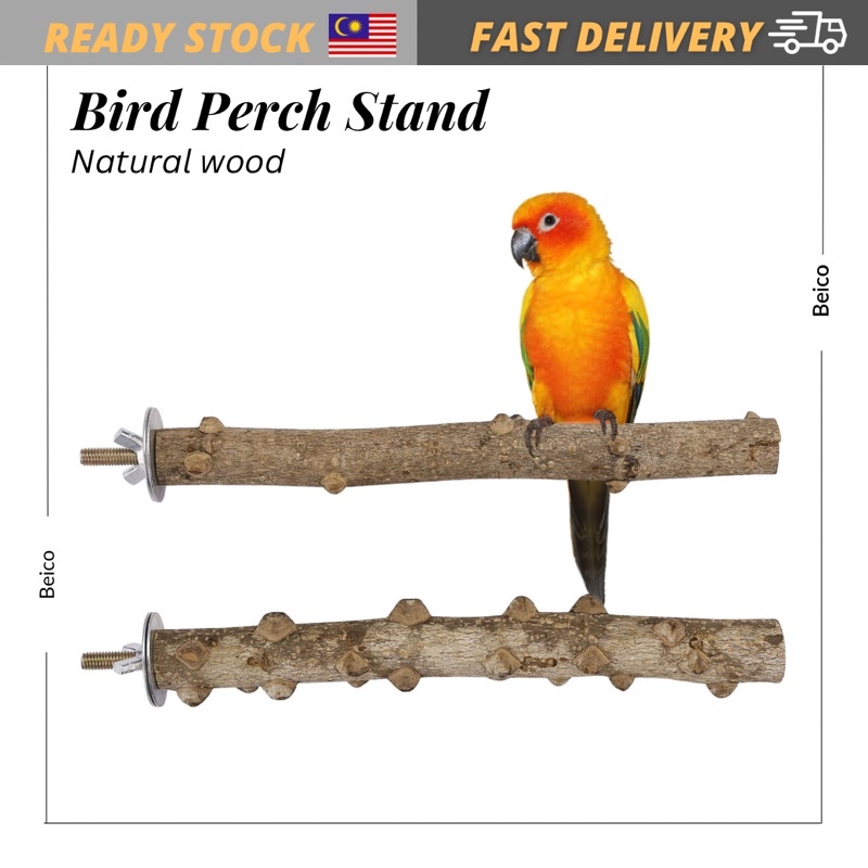 Natural Wood Bird Perch Stand, Hanging Multi Branch Perch for Parrots