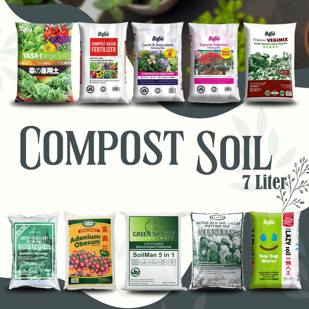 GHZ Tanah Baja Tanah Hitam Organik Gafri Baba Soil Potting Mix Cactus