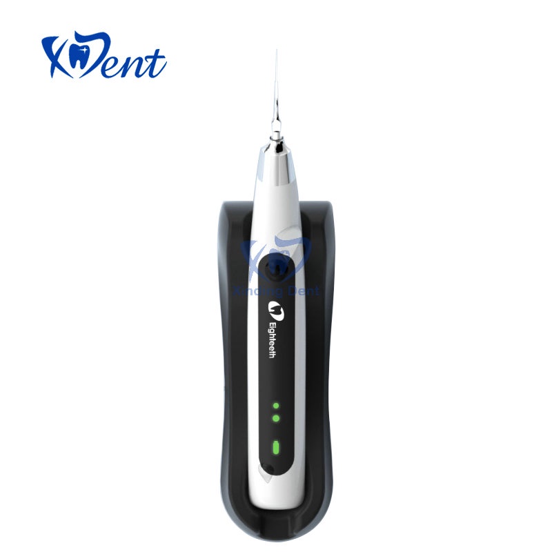 XinDing Ready Stock Eighteeth Cordless Ultrasonic Activator Dental