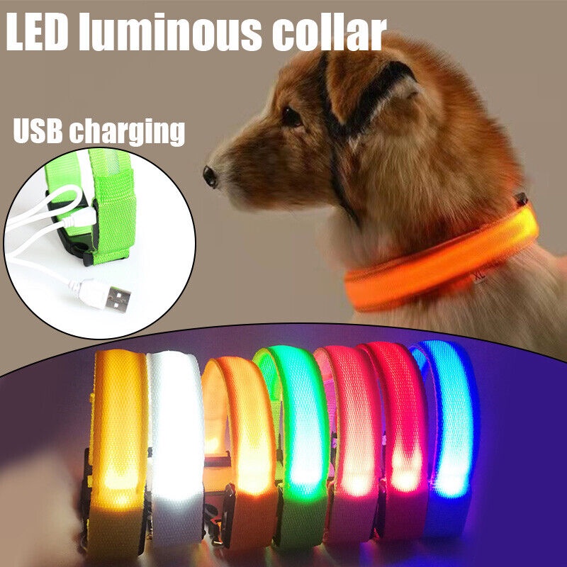 Blinking Collar Pet Collar Dog Collar Light Up Glow Flashing Charging