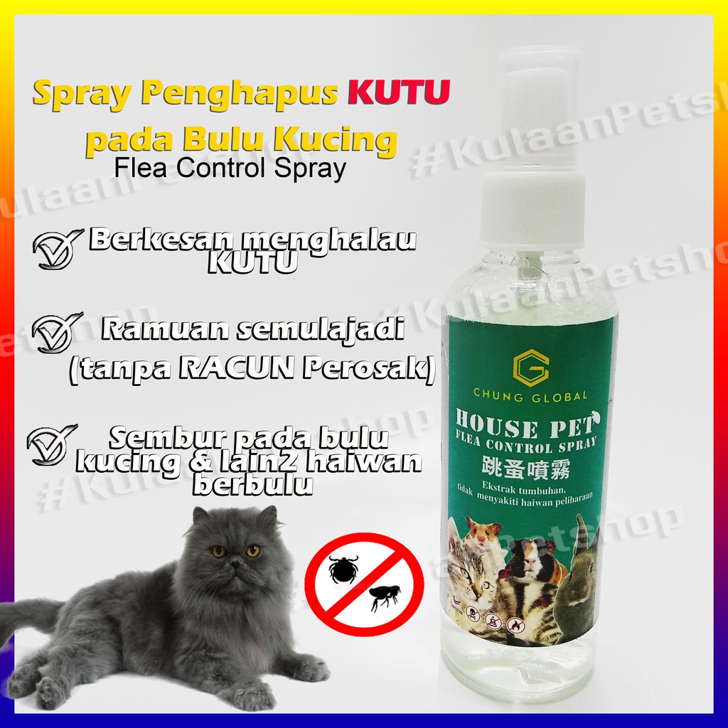 Bedak kutu dan hama kucing/ cat flea control / ubat kutu bulu kucing ...