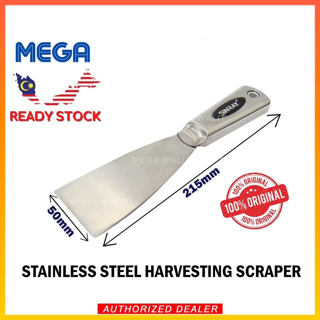 Sinray Stainless Steel Bird Nest Harvesting Scraper (Reflective Mirror