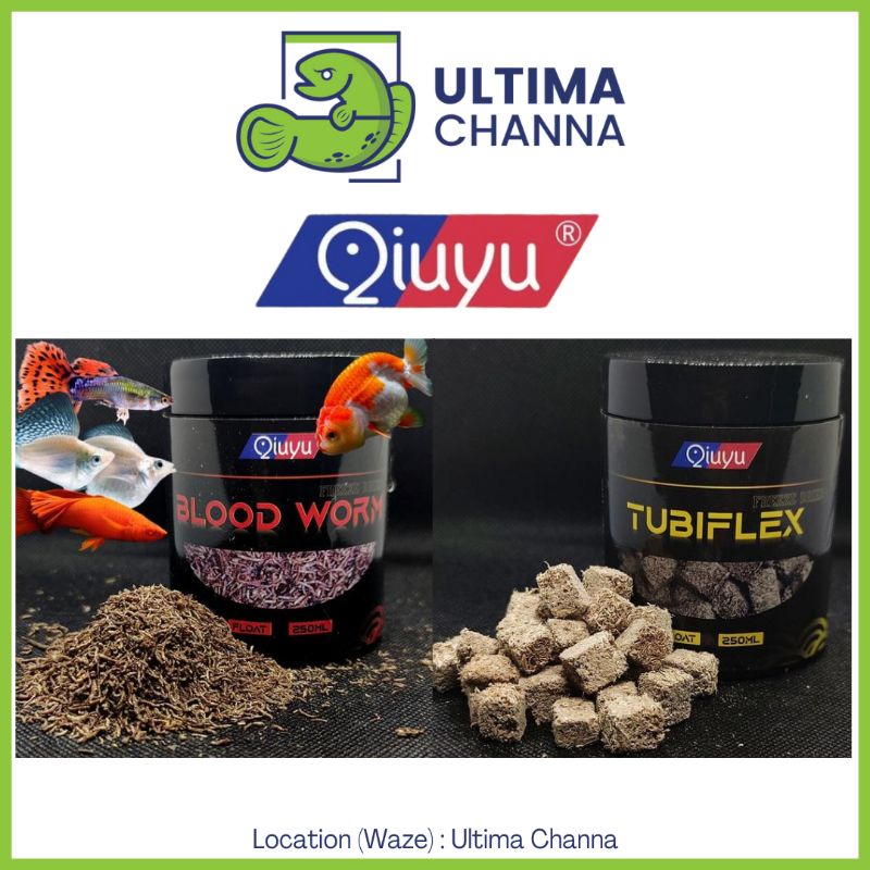 Qiuyu Tubifex/ Qiuyu Bloodworm makanan ikan fish dry food for
