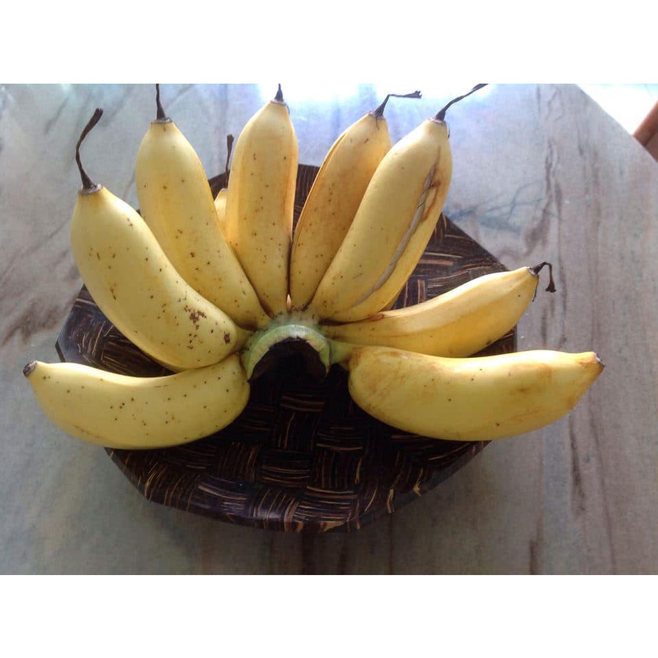 anak-pokok-pisang-rastali-shopee-malaysia